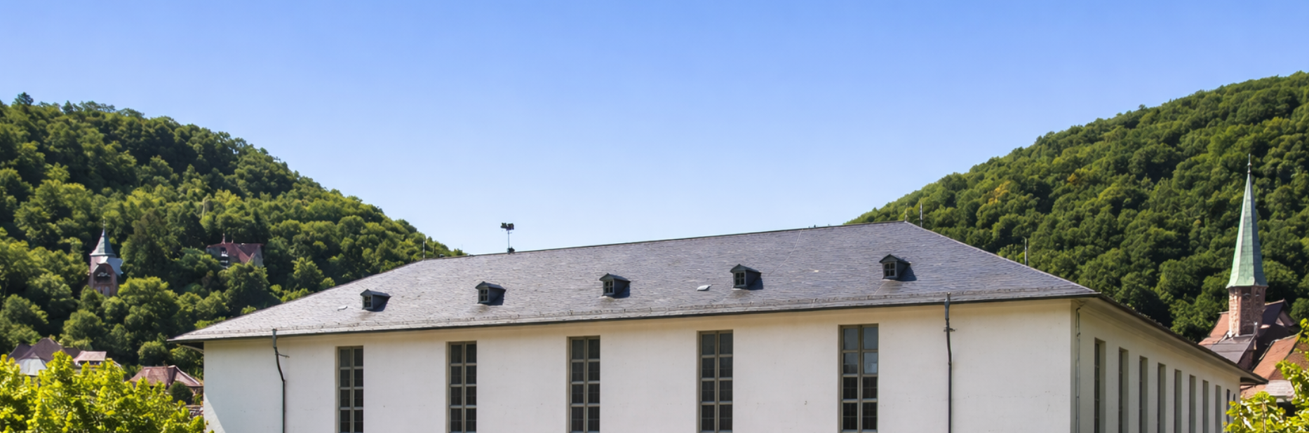 Neue Universität HeidelbergPNG