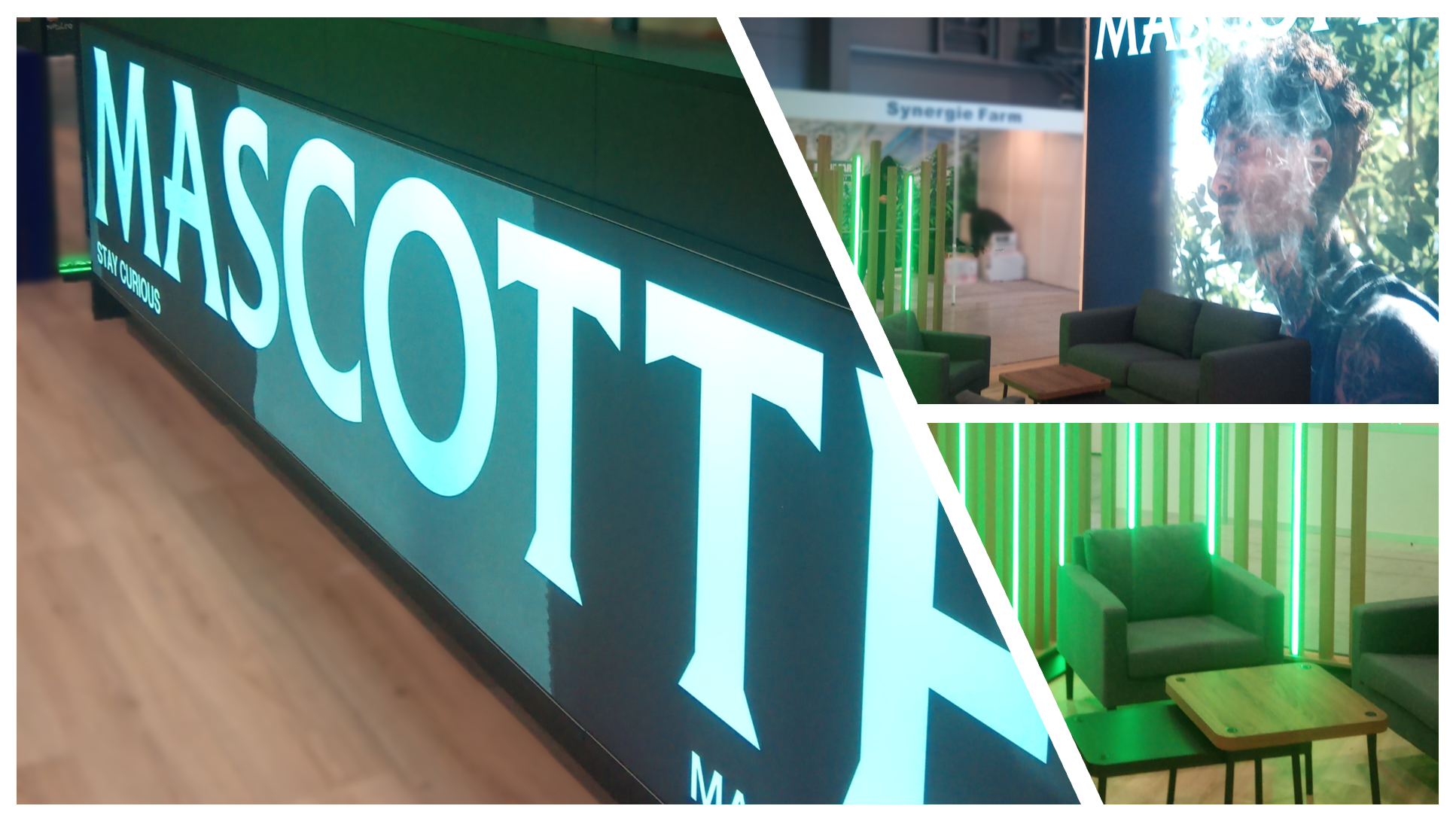 Cannafest Prag 2025 startet: Treffpunkt der internationalen Cannabisbranche