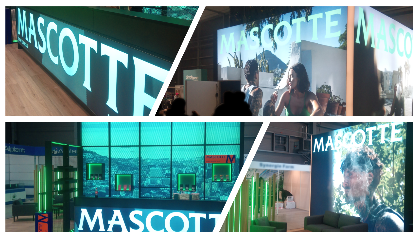 Rückblick: Cannafest Prag 2025 – Ein Wochenende im Zeichen von Innovation, Austausch und Hanfkultur